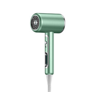 Secador de cabelo Profissional Secagem Rápida 110/220v